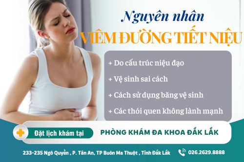 Trị viêm đường tiết niệu Đắk Lắk - Nguyên nhân viêm đường tiết niệu là gì?