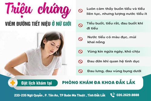 Trị viêm đường tiết niệu Đắk Lắk – Triệu chứng viêm đường tiết niệu là gì?