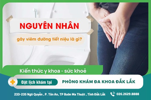 Chữa viêm đường tiết niệu Đắk Lắk – Nguyên nhân gây viêm đường tiết niệu là gì?