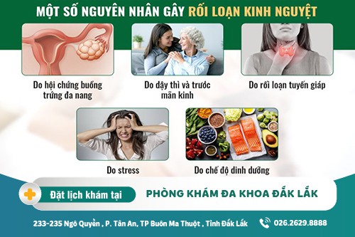 Điều trị rối loạn kinh nguyệt Đắk Lắk – Rối loạn kinh nguyệt do đâu?